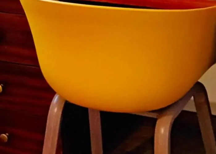 Amarelaje Serra d'El-Rei